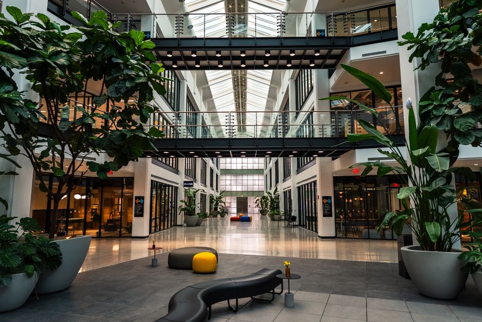 Spacious modern office atrium featuring indoor plants, skylight, and seating area.
