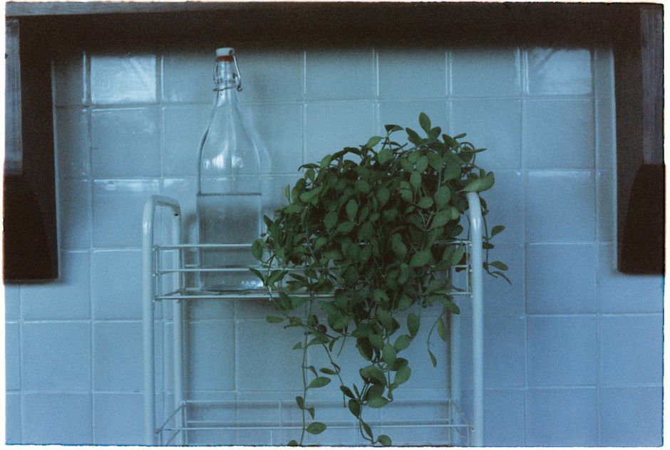 Minimalist setup with a glass bottle and plant on a tiled shelf, offering a serene aesthetic.